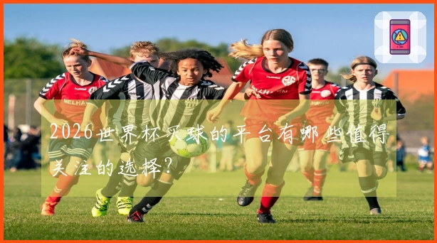 2026世界杯买球的平台有哪些值得关注的选择？