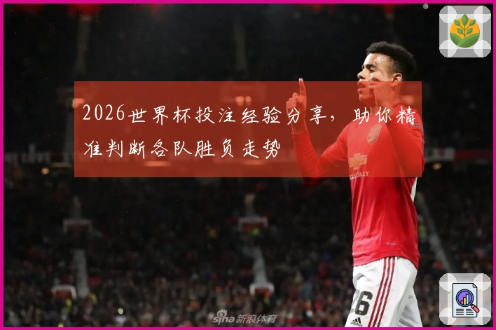 2026世界杯投注经验分享，助你精准判断各队胜负走势