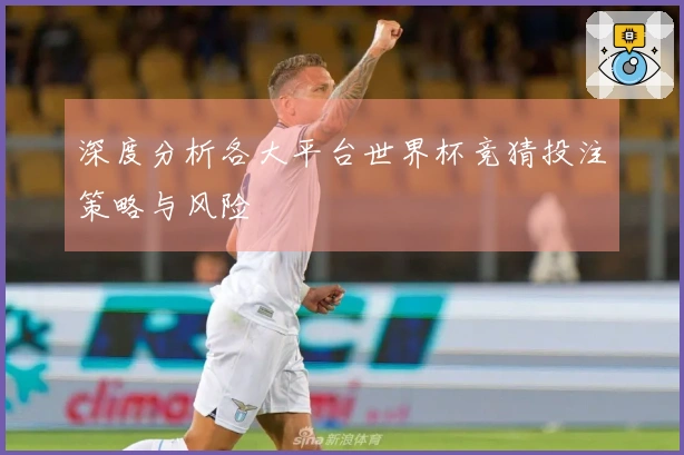 深度分析各大平台世界杯竞猜投注策略与风险