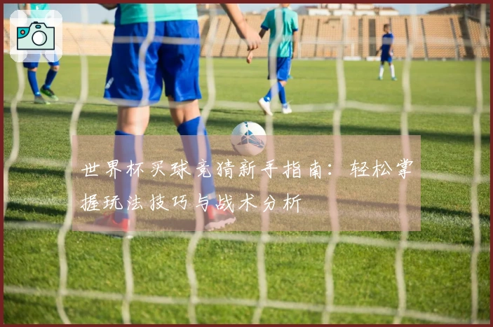 世界杯买球竞猜新手指南：轻松掌握玩法技巧与战术分析